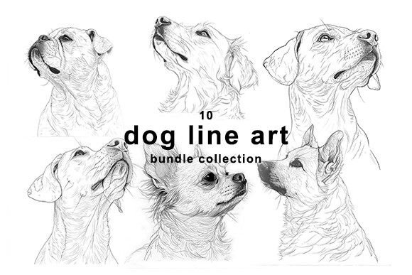 Download Dog Line Art Bundle Collection - Premium Resources